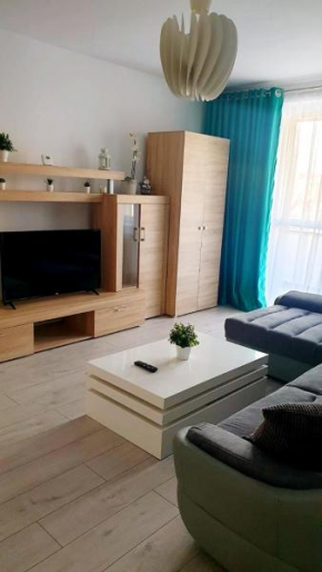 Отель Apartament Central Radu  Сибиу